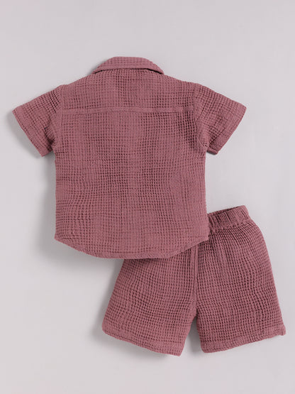 Purple Cotton Solid Half Sleeve Co-ord Set